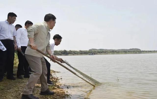 督察组通报后 尹弘、叶建春、王予波、王浩等赴现场 全力推进生态整改