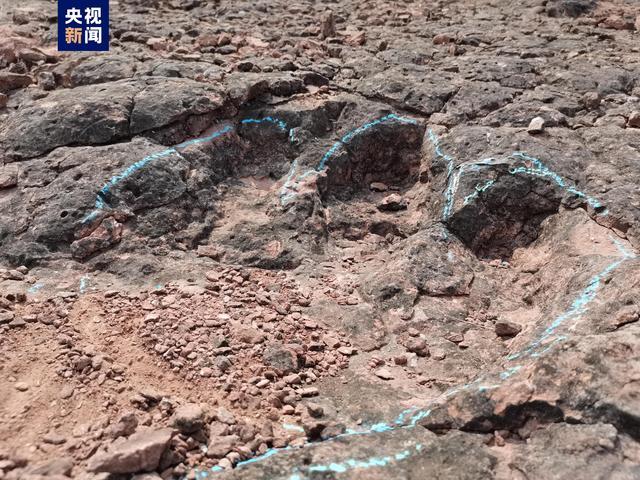 云南发现1.2亿年前恐龙足迹化石