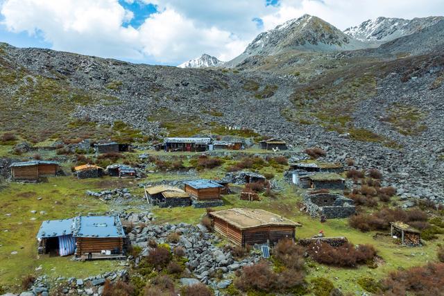 海拔4000多米挖“黄金” 藏民的高原寻宝生活