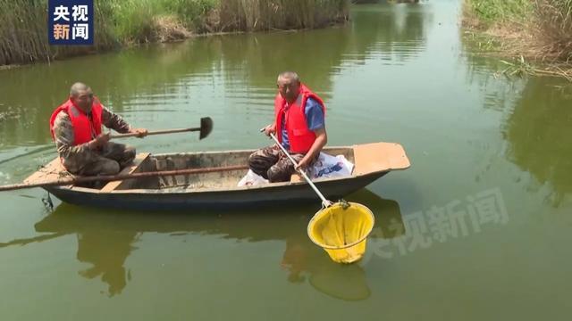 滁河污染：全椒县委主要负责同志被免职，水体恶化原因查明