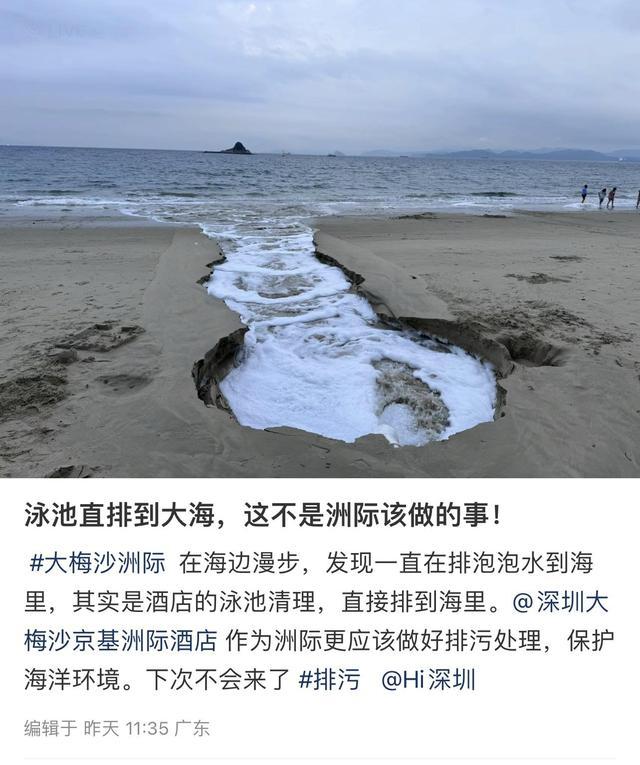 洲际酒店被曝将泳池水排海，称无毒无污染！生态环境部门介入！