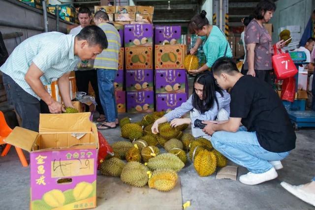 榴莲迎来最大规模供应高峰 价格腰斩消费者喜迎“榴莲自由”