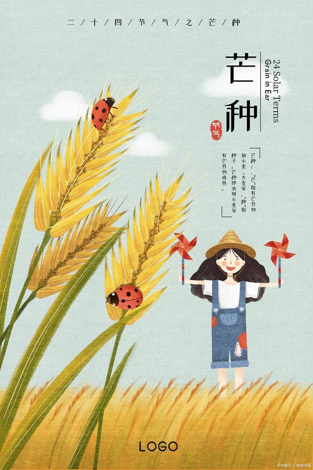 芒种在月尾 热死老黄牛” 今夏很热吗？