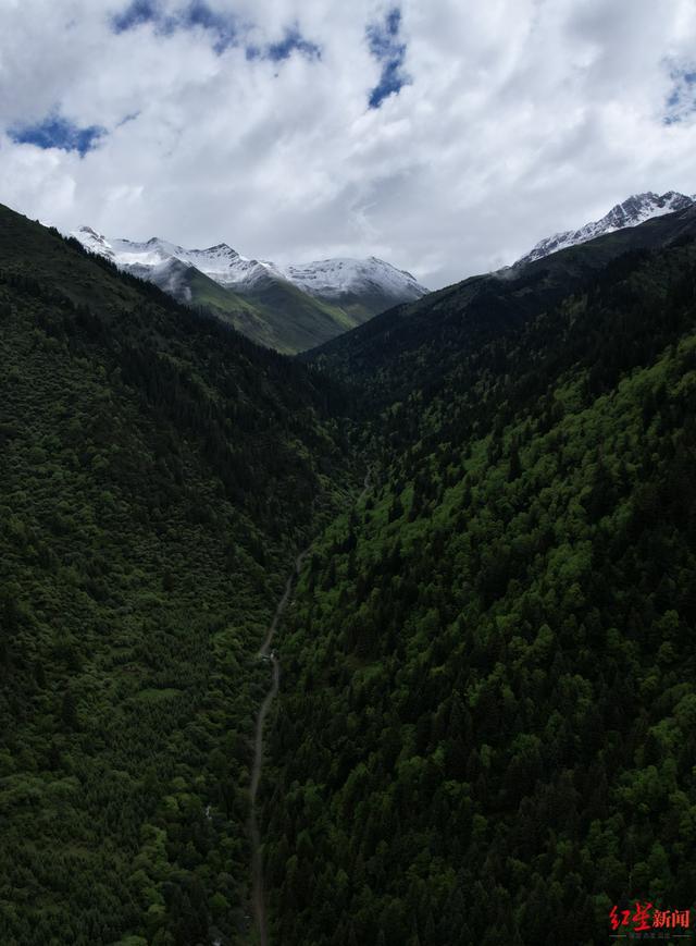 5人组团登山 1人从海拔5千米处坠崖 违规探险悲剧引关注