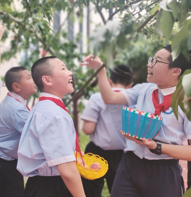 浙江一小学学生亲手摘桃子感恩老师 诚挚谢师恩，桃李满天下