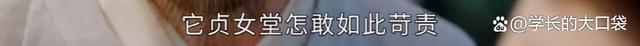 于正《墨雨云间》火了，“嫡嫡道道”的《知否》味儿