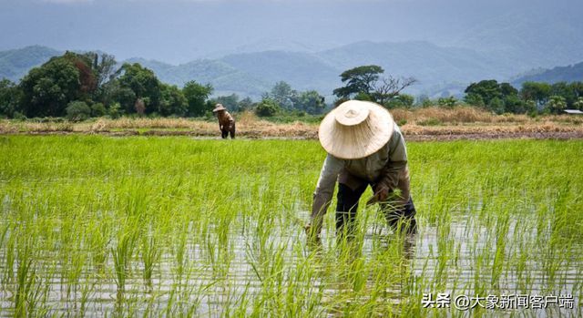 世界气象组织官员：拉尼娜难挡全球变暖，极端天气频发成忧