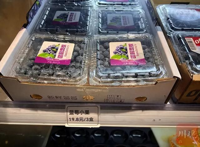 200元一斤蓝莓跌到8元