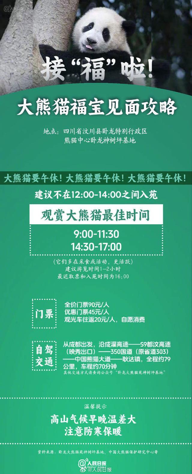 看福宝最佳时间请查收 错过等一年！