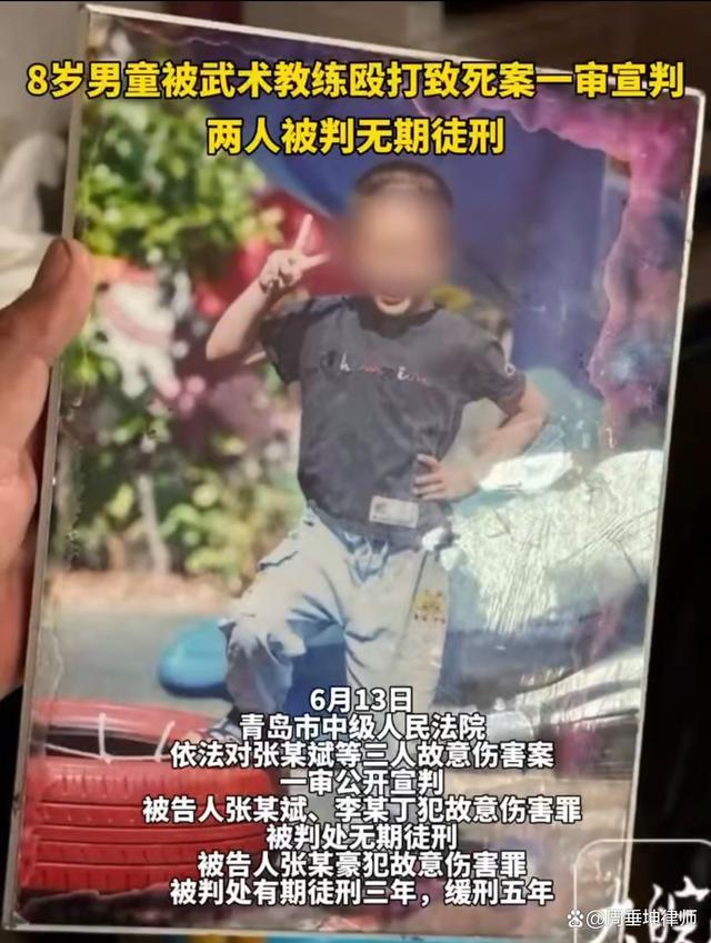 律师解读教练打死男童为何不判死刑？