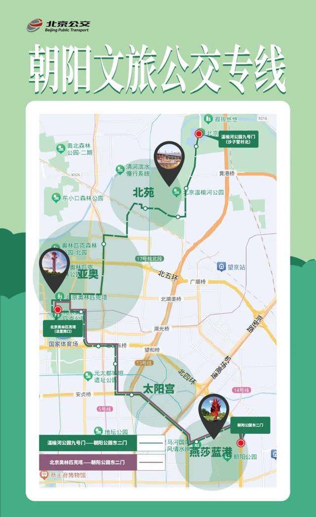 坐347路熊猫公交赏北京可爱风景线 探秘动物主题公交之旅
