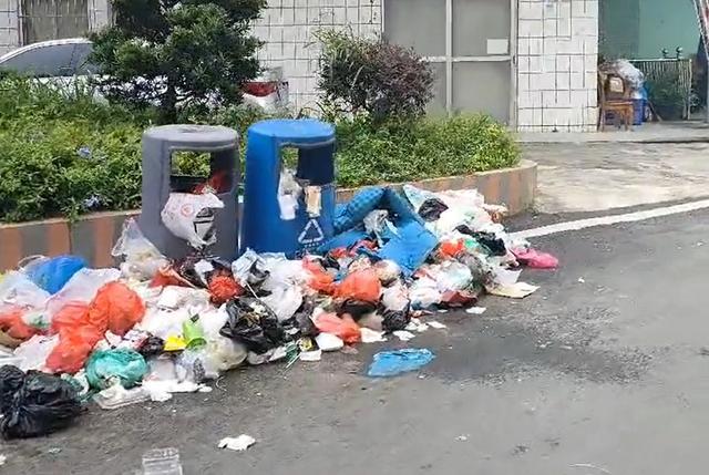 镇政府回应疑环卫工降薪致垃圾遍地 东莞凤岗镇垃圾堆积引发关注