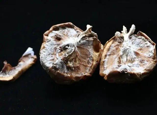 中科院博士回应研究苹果长出蘑菇 揭秘“果菌王”真实身份