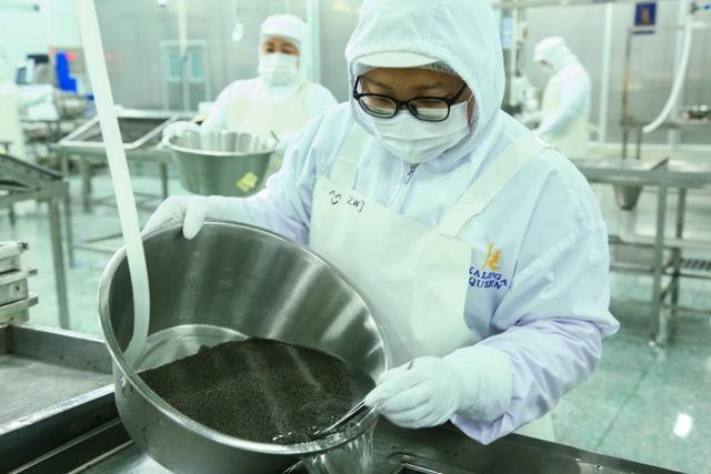 中国成鱼子酱最大产地 大连市揭秘