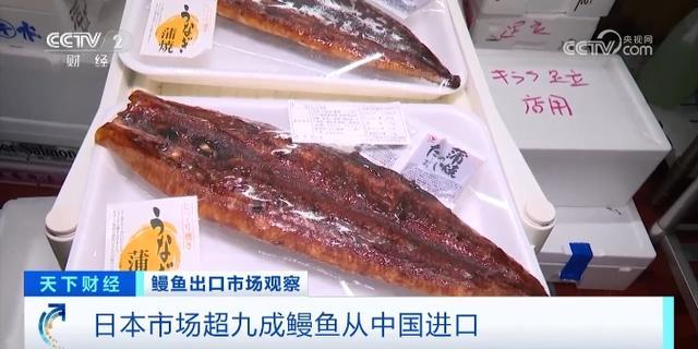 日本鳗鱼大幅涨价 出口旺季供不应求，价格创近年新高