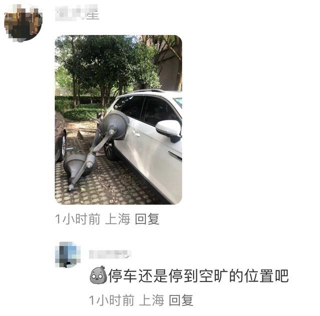上海行道树被吹断 骑手小哥被砸身亡 大风蓝色预警持续