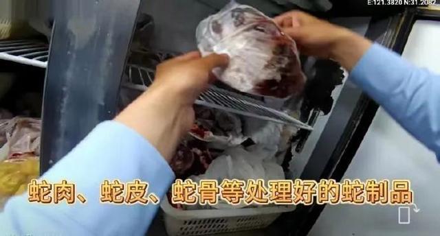 上海一餐饮店查出65条活蛇 藏匿阁楼，涉违法经营