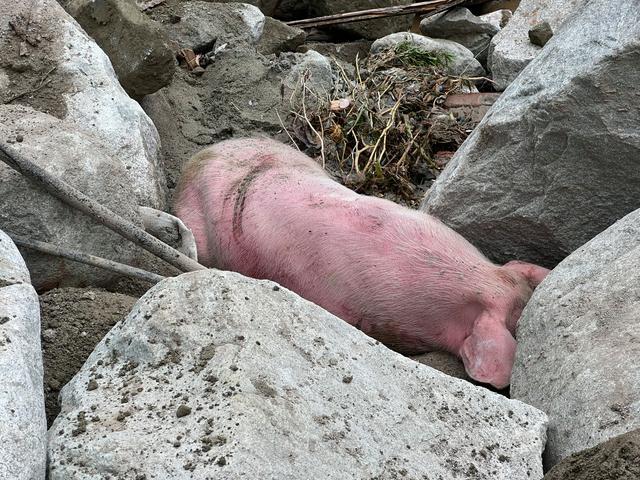 遭遇特大泥石流后的康定村庄