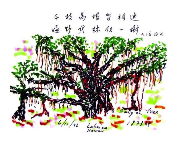 李政道画的这棵大榕树被多次提起 “所有中国人事实上是一个人”