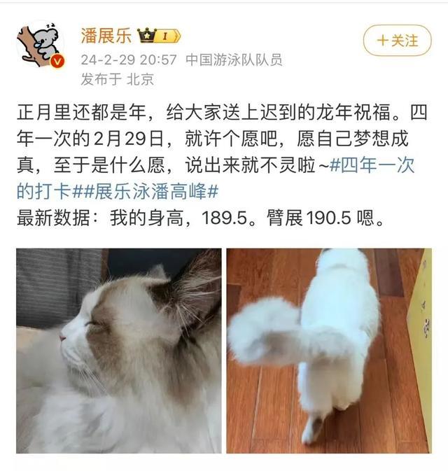 潘展乐：嘲讽和欢呼在水里都听不见