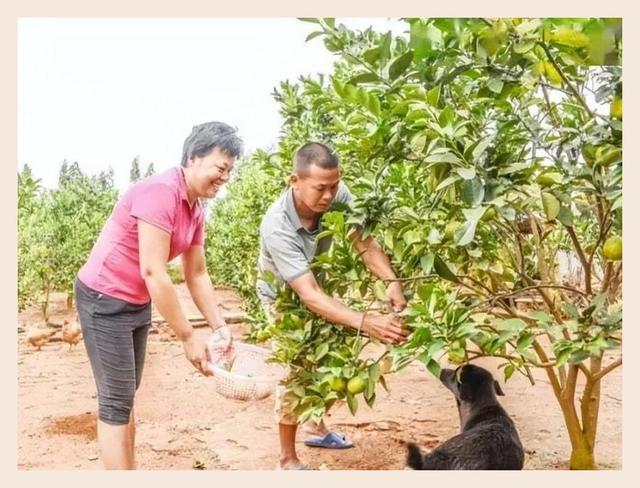 要用成熟眼光看待正在长大的全红婵 奥运跳水新星的蜕变之路