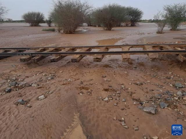 苏丹北部暴雨致11人死亡 洪水肆虐，基础设施严重受损