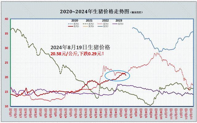 罕见反转！猪价“跌翻天” 养殖端心态松动，供需格局骤变