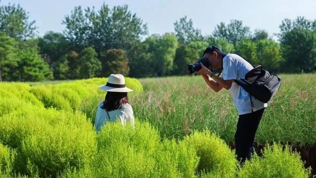 北京现实版“绿野仙踪”打卡地推荐 梦幻秘境探索指南！