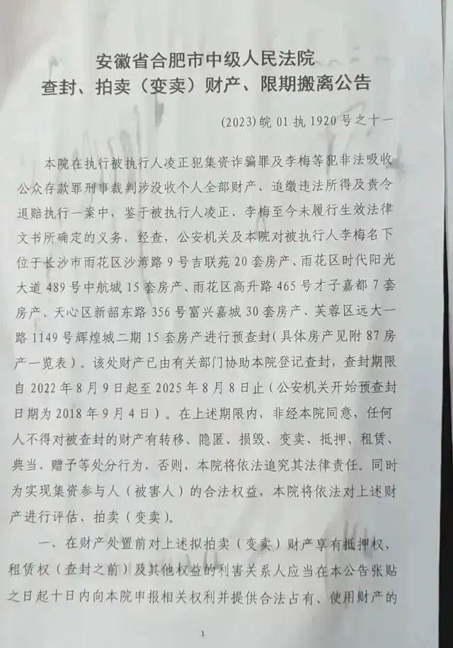 女子87套房被拍卖还有90套 合肥炒房团往事曝光