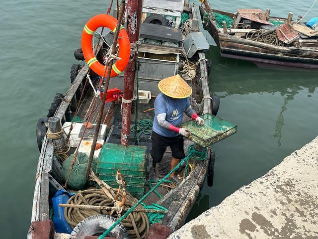 青岛开海 海鲜价格如何 鲜活海鲜海量上市，价格亲民！