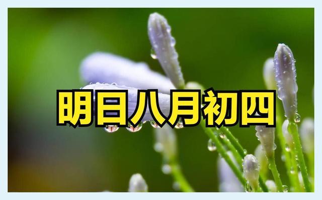 白露前一天 提醒大家4件事别犯忌讳