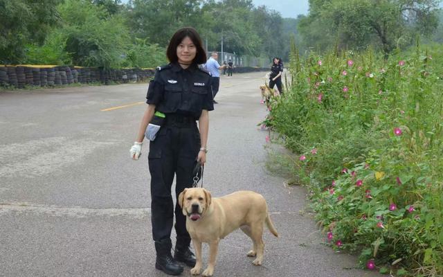 警犬技术专业学生抽签选警犬