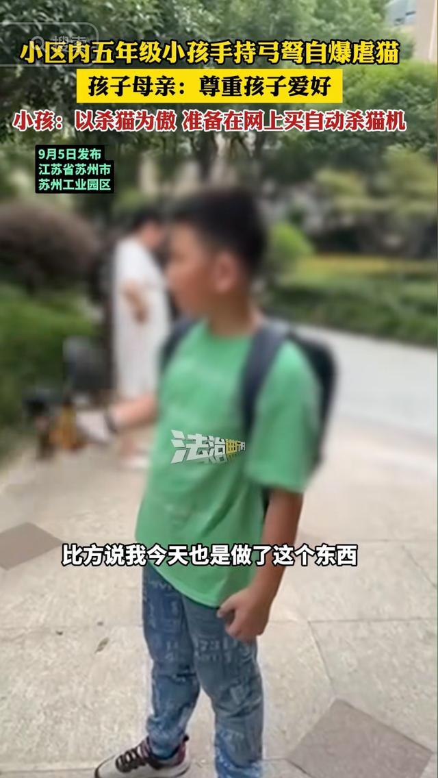 小孩以虐猫为傲 母亲:尊重爱好