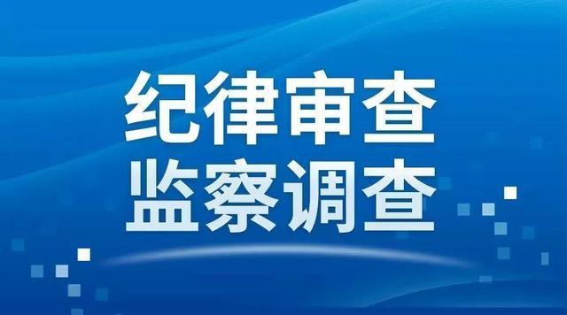 原河南乡镇归纳规划研究院院长被查 涉嫌严峻违纪违法