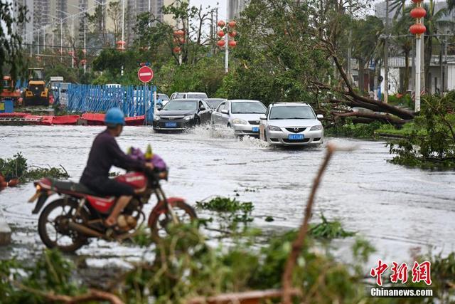 台风过境后的徐闻县：街头树木倒伏