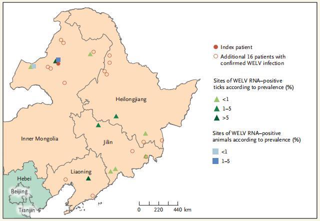 顶级医学杂志最新披露：中国东北发现蜱传人新病毒