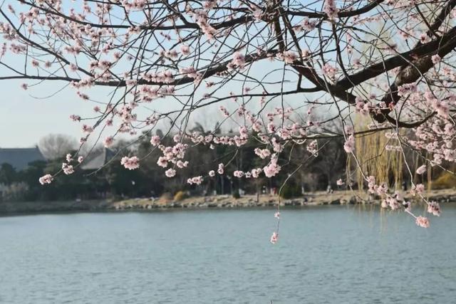 她是钟芳蓉，不只是那个「考古女孩」