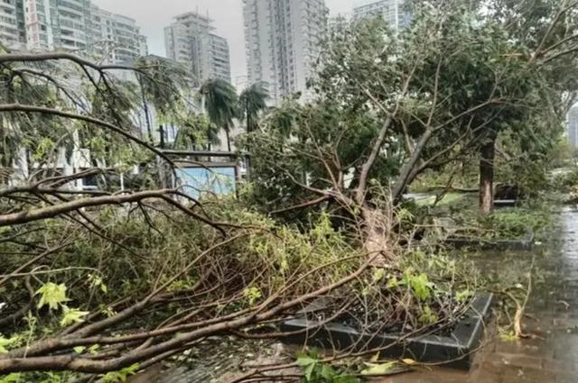 台风“摩羯”致海口文昌经济损失600亿