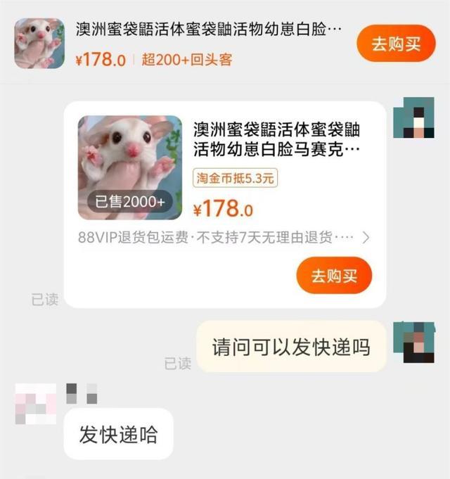 网上买宠物想不踩坑太难了 宠物健康无保障