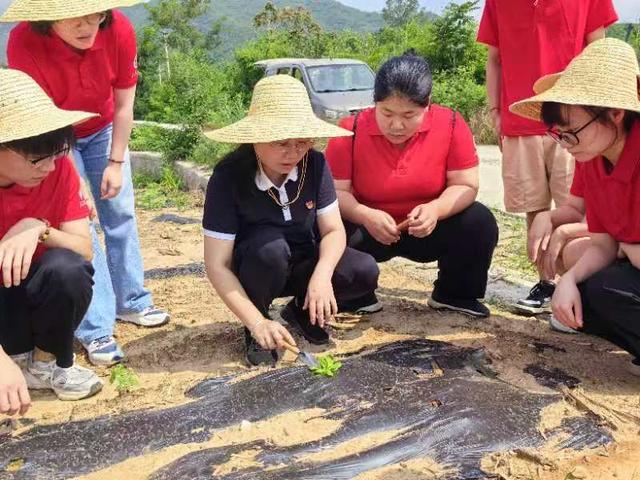 “蔬菜博士”韩莹琰：一半时间给学生，一半时间与生菜“较劲”