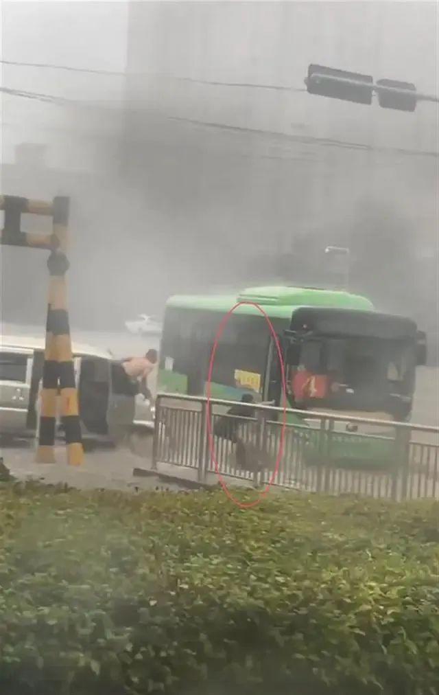 公交女司机暴雨中救人被冲走