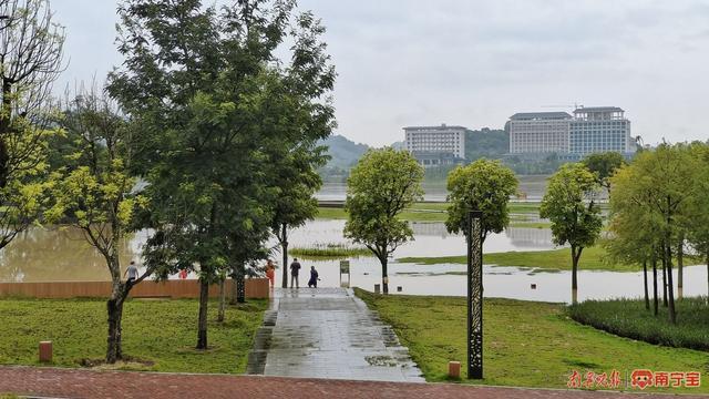 南宁市灵龟山景区临时闭园 邕江水位上涨致景点成湖泊