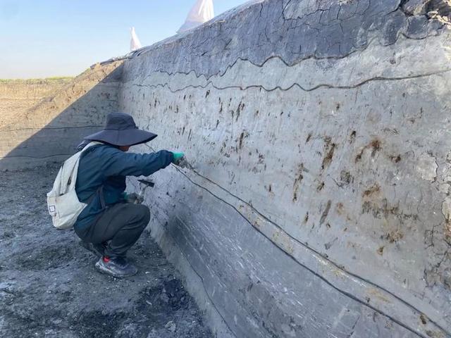 江苏发现江北滨海史前遗址 揭示7000年前生活面貌