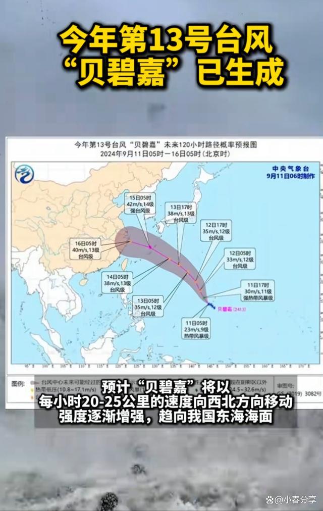 贝碧嘉台风眼里的片刻宁静 自然力量与人类勇气的交响