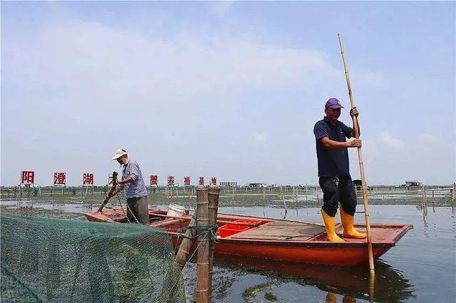 浙江湖州近5万亩大闸蟹抢鲜上市 中秋餐桌添美味