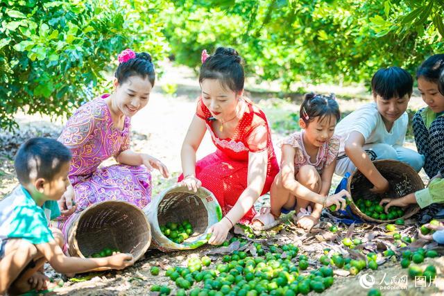 礼赞丰收中国 共庆丰年，硕果累累