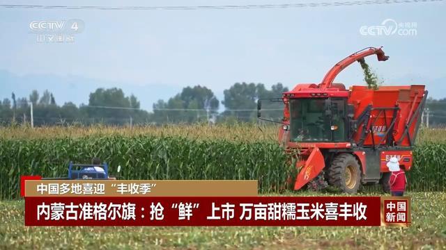 金秋时节处处好“丰”景 各地喜迎丰收忙