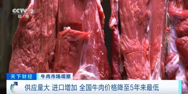 牛肉价格降至5年来最低 供需失衡下的市场现状