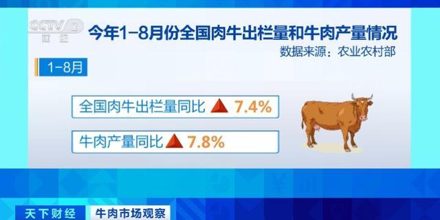 牛肉价格降至5年来最低 供需失衡下的市场现状