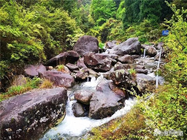 6条初秋值得一去的浙江古道 探秘陶姑洞，寻访云中古寺